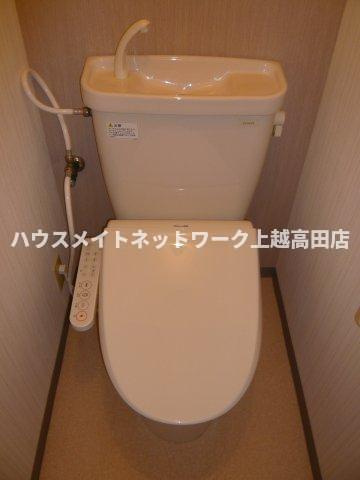 ベロウ山屋敷のトイレ|温水洗浄暖房便座（参考同型304号室室内写真）