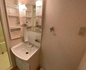 【洗面所】 | Fine Stage Ginza East | スペースが確保できる洗面所です