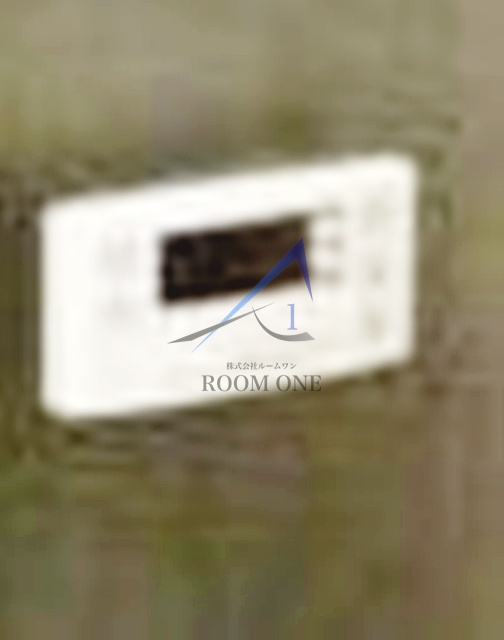 ワイズフォレスト