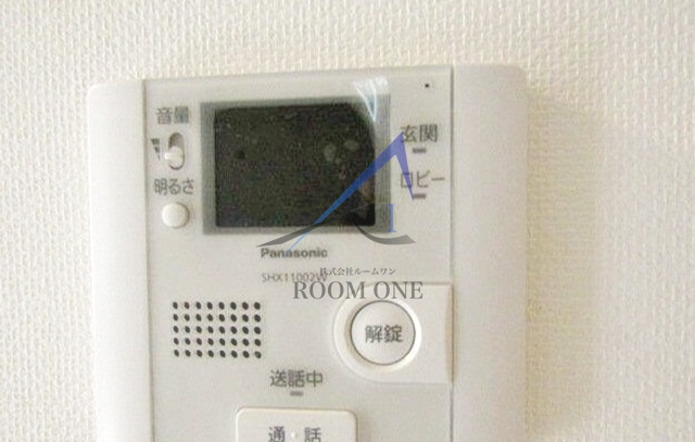 Ｃｏｒｕｊａ　Ｂｒａｎｃａのその他