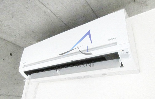 Ｃｏｒｕｊａ　Ｂｒａｎｃａのその他