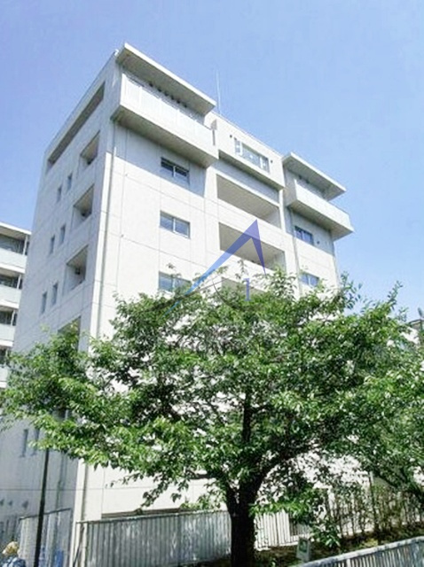 Ｈａｕｓ　Ｆｒｉｅｄｅ