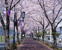 花と緑の散歩道まで278m