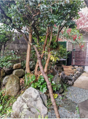  | 静市市原町　中古戸建【南向き】