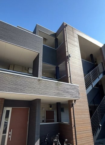 GRACIM_01（グラシムワン）