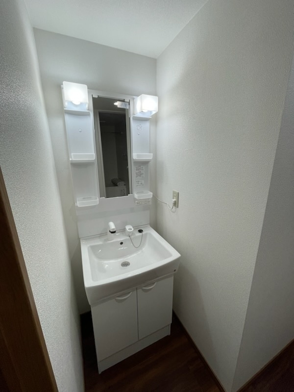 プレジール芝大門の洗面所