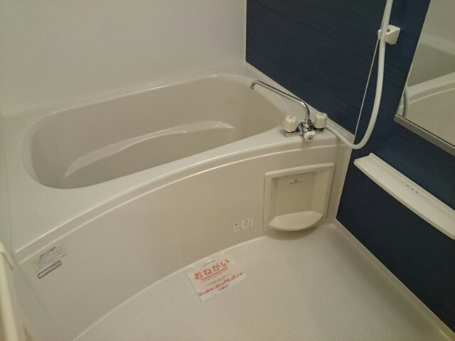 ディオーネ・ジエータ紀ノ川Ⅱの浴室