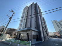 フリーダムファンの画像