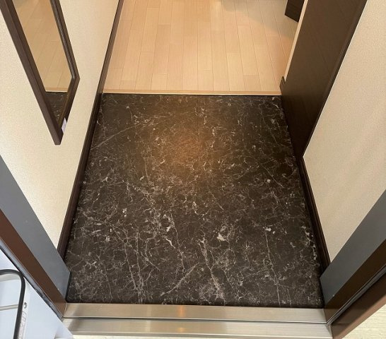 レオネクストブランドールの玄関