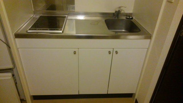 レオネクストショーのキッチン