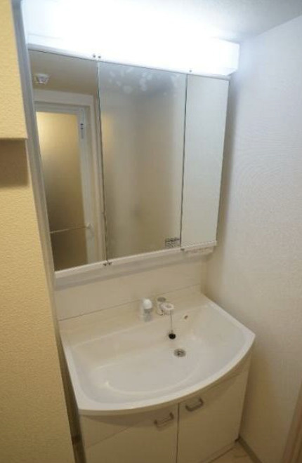 ＴＨＥ　ＰＡＬＭＳ大島の洗面所