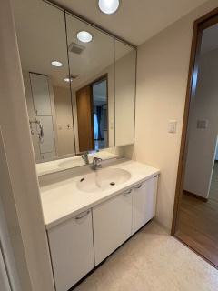 アルファステイツ東福原の洗面所