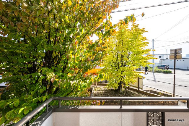 Liberty Courtの展望