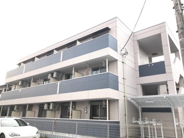 コーラルリーフ