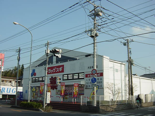 【周辺】 | ファインハイム | ドラッグスギ大谷本郷店まで1,357ｍ