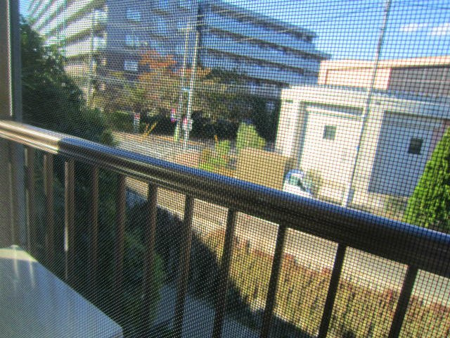 ホワイトハウスの展望|お部屋から見た景色☆