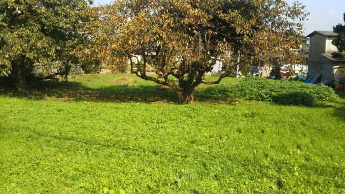 うきは市吉井町富永　売り土地