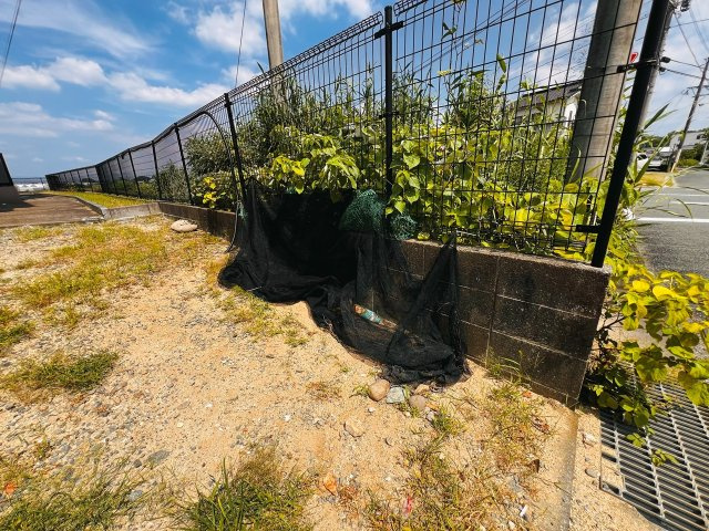 リベア船小屋の庭