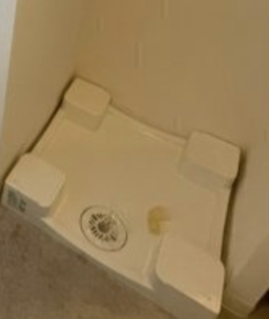 品川区中延５丁目の賃貸マンションの設備