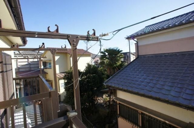 【展望】 | 美松苑