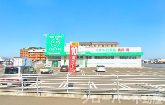 ピュアタウンエンジェルの周辺|ザグザグ丸亀新田店まで1317m