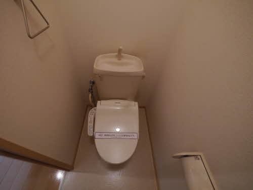 グランディール大江 ＊＊のトイレ