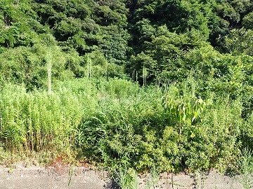 岩美町浦富土地