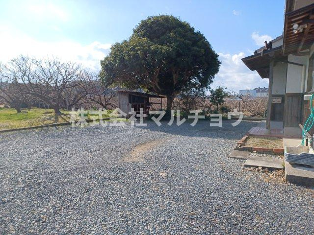 秋津一戸建の庭|お庭が付いています。車４．５台置けます。