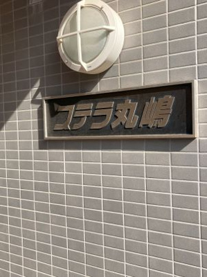 【その他】 | ステラ丸嶋