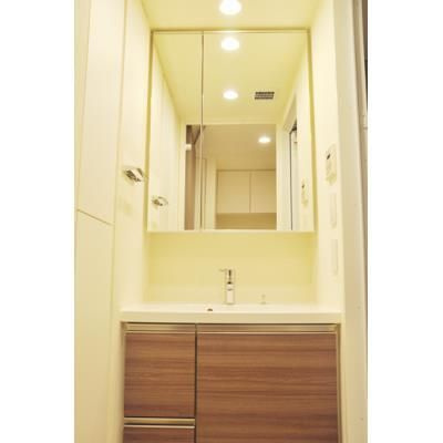 パークアクシス豊洲キャナルの独立洗面台