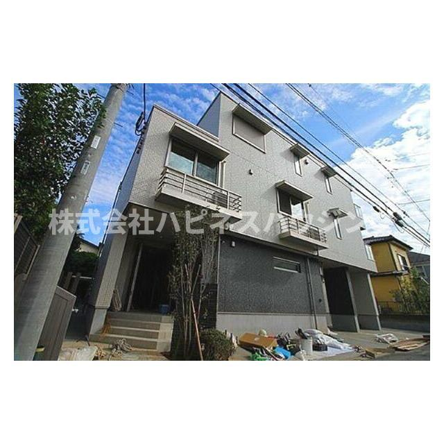 アドニス柏(アドニスカシワ)の外観