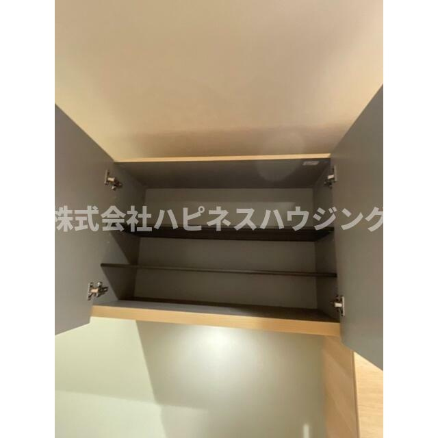 アドニス柏(アドニスカシワ)の収納