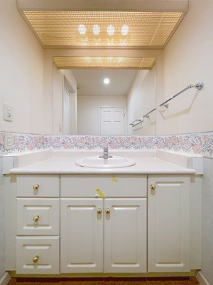 【独立洗面台】 | ＭＡＸ