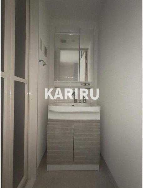 S-RESIDENCE布施aventraの洗面所