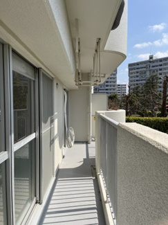 【バルコニー】 | 新ゆりグリーンタウンアカシア街区８号棟 | 緑豊かな住環境を望むバルコニー。自然を身近に感じながら、穏やかな時間をお過ごしいただけます。