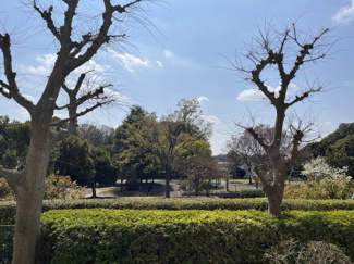 【展望】 | 新ゆりグリーンタウンアカシア街区８号棟 | 前面に高い建物がなく、開けた眺望が魅力。四季の移ろいを感じられる落ち着いた景色が広がります。