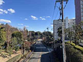 【周辺】 | 新ゆりグリーンタウンアカシア街区８号棟 | 緑に囲まれた街並みが続く、見通しの良いメインストリート