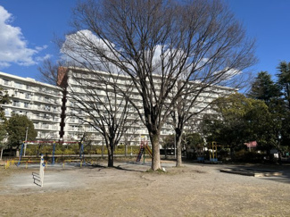 【周辺】 | 新ゆりグリーンタウンアカシア街区８号棟 | 遊具と広場がそろい、子どもものびのび遊べる環境