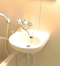 CASA VIOLA Ⅰの洗面所