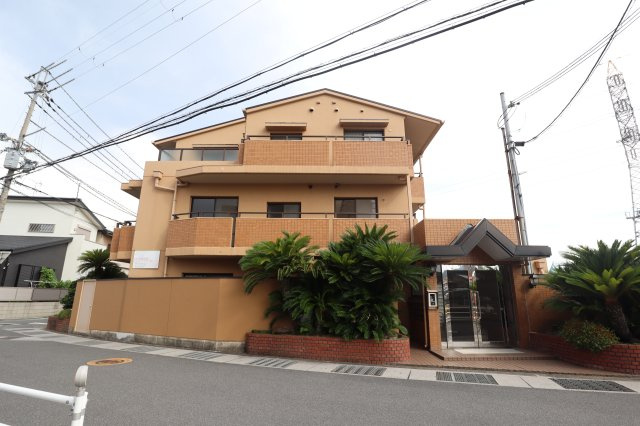 コートコスモの展望
