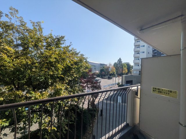 【展望】