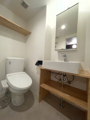 アピチェ池上の独立洗面台