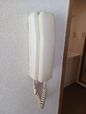 【セキュリティ】 | タウンリバティー