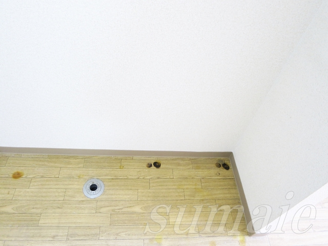 グリーンパーク飛鳥のその他|室内に洗濯機置場あります！