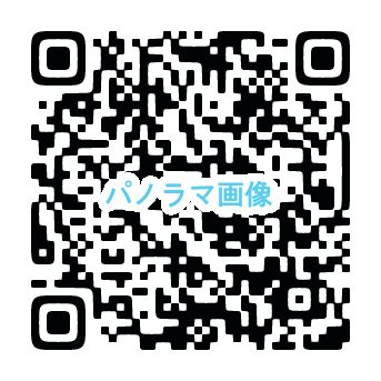 ＰＡＬのその他