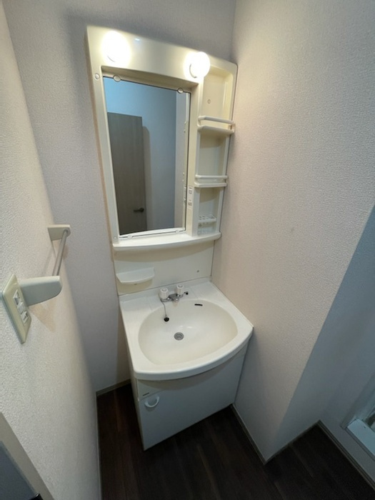 ヴェルドミールの洗面所