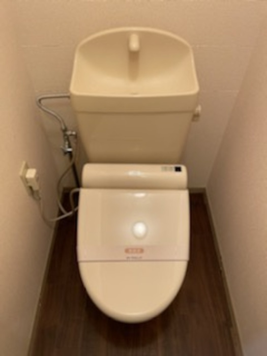 ヴェルドミールのトイレ