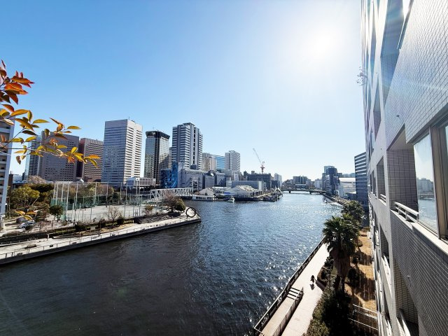 天王洲デュープレックスの展望