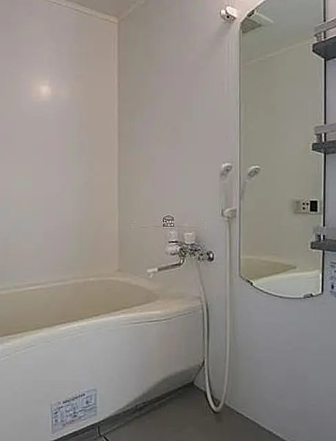 レヴィーナ東京八重洲通りの浴室