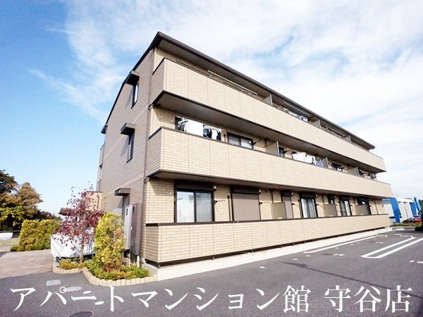 エバーグリーン